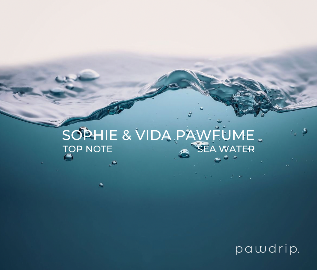Sophie & Vida Perfume Pet Pawfume 10ml From PawDrip