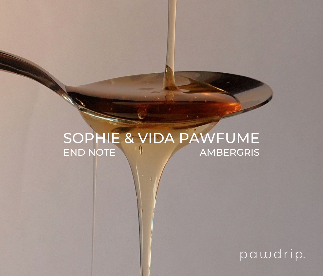 Sophie & Vida Perfume Pet Pawfume 10ml From PawDrip