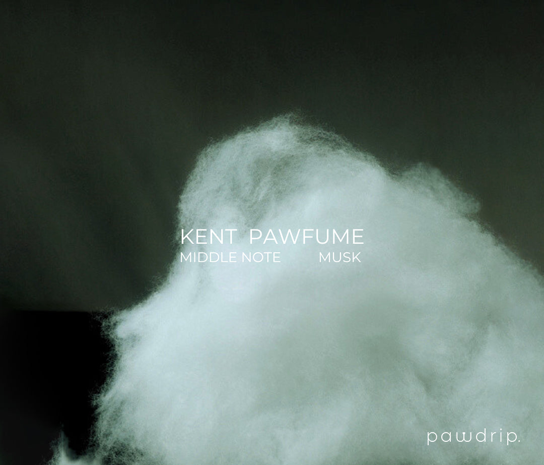 Kent Pet Pawfume 10ml From PawDrip