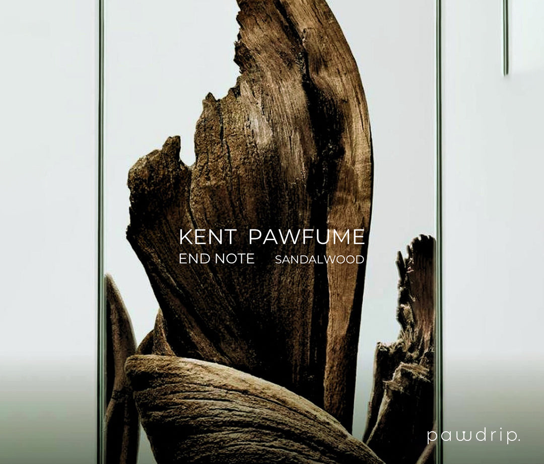 Kent Pet Pawfume 10ml From PawDrip