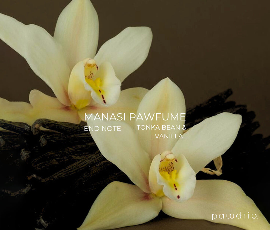 Manasi Pet Pawfume 10ml From PawDrip