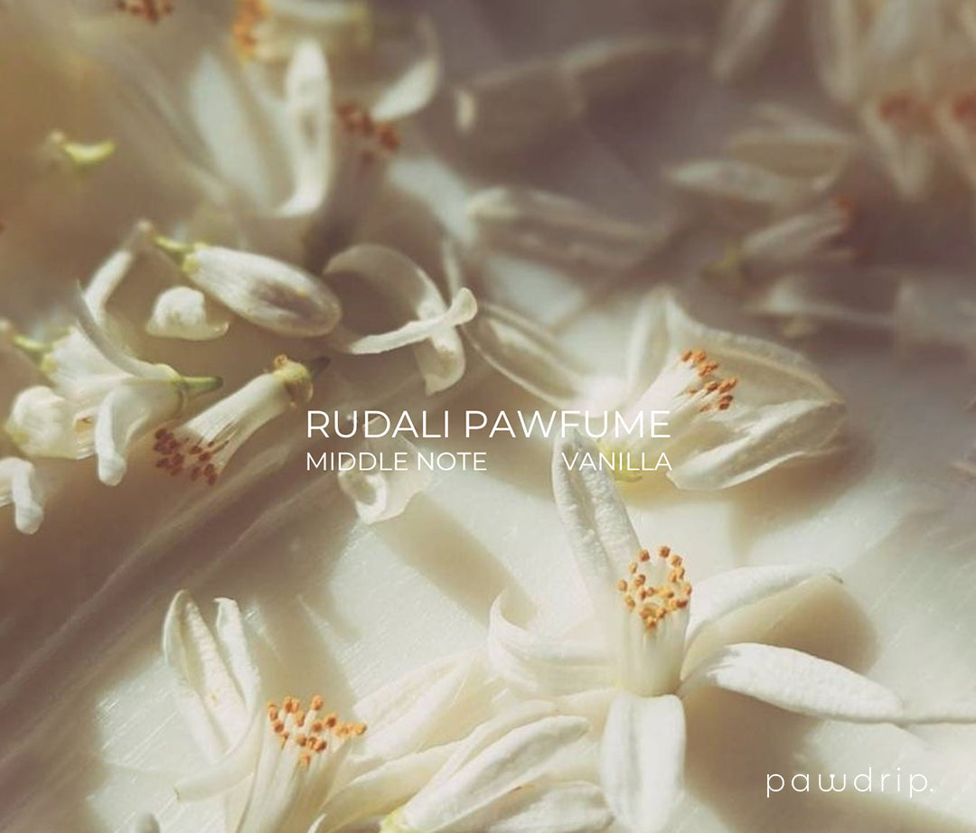 Rudali Pet Pawfume 50ml From PawDrip
